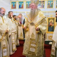 Митрополит Јоаникије у манастиру Костриковачa