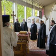 Педесетогодишњица рукоположења у свештенички чин Митрополита њемачког Марка