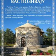 Плужине