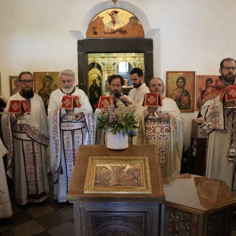 Druga nedjelja po Duhovima u crkvi pod Goricom