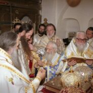 Годишњица епископске хиротоније Митрополита Јоаникија