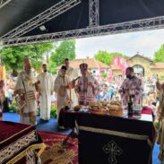 Митрополит Јоаникије на Видовдан