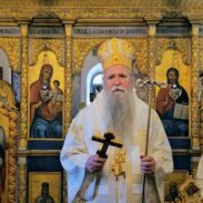Митрополит Јоаникије у манастиру Доњи Брчели