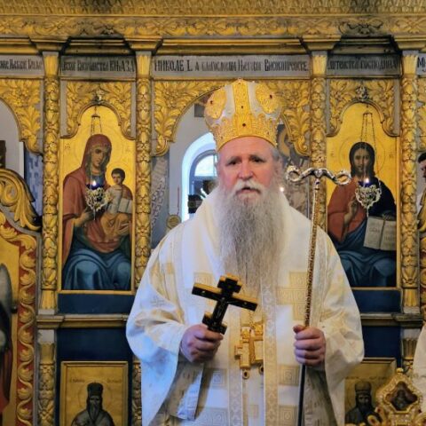 Митрополит Јоаникије у манастиру Доњи Брчели