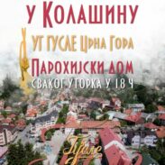 ШКОЛА ГУСАЛА КОЛАШИН 980x1386