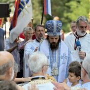 Епископ диоклијски Пајсије