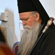 Митрополит Јоаникије