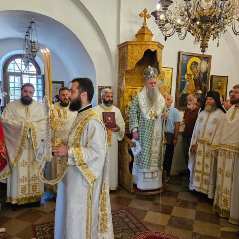 Митрополит Јоаникије
