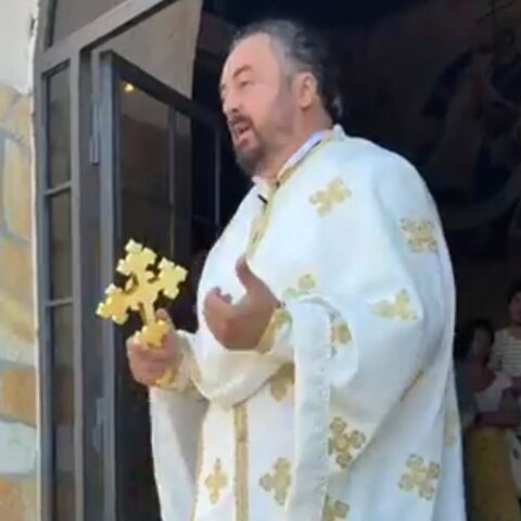 Отац Владимир (Палибрк)