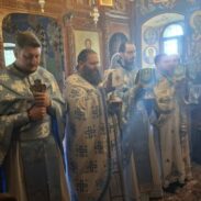 Дванаеста недеља по Духовима у Острогу