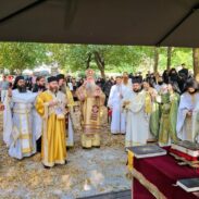 Митрополит Јоаникије