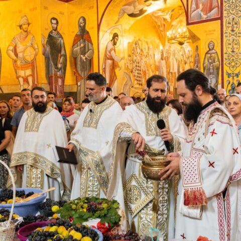 О. Предраг Шћепановић