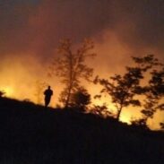 У Пиперима данима драматично, братска слога олакшава тешке дане