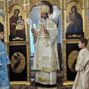Владика Пајсије