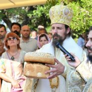 Владика Пајсије