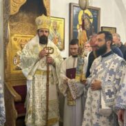 Владика Пајсије