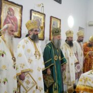 Img 2589208