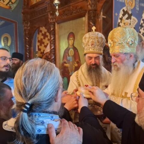 Митрополит Иларион и Архиепископ Јефрем из Грузије служили у Острогу