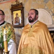 О. Владимир (Палибрк)