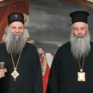 Патријарх Порфирије разговарао са Митрополитом китруским Георгијем