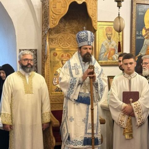 Владика Пајсије