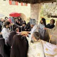 Владика Пајсије у Добрској ћелији