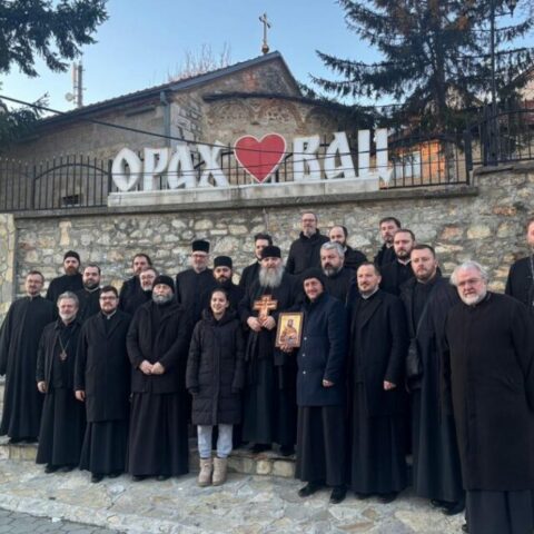 Сацва Јањић 1080x675