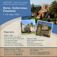 Жича Одоготрија 1280x1280