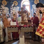 Митрополит Јоаникије