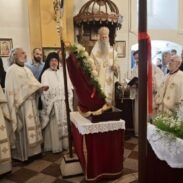 Томина недеља у Јошици