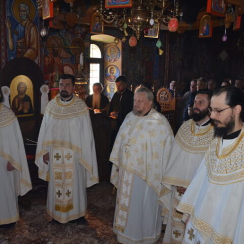Томина недјеља у Острогу