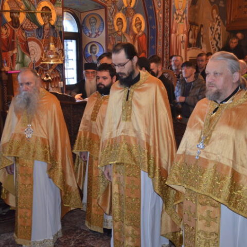 Улазак Господа Исуса Христа у Јерусалим молитвено прослављен у Oстрошкој светињи