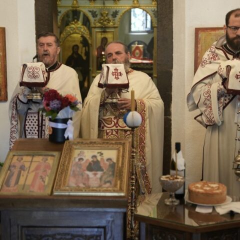 О. Драган Станишић