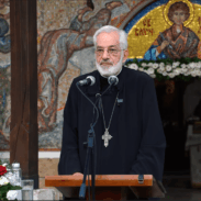 Протојереј ставрофор др Милош Весин