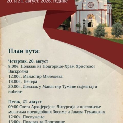 одигитрија тумане