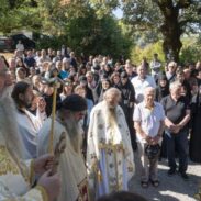 Митрополит Јоаникије у Брскуту