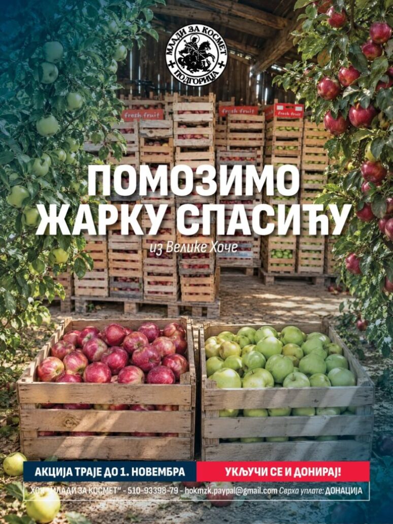 Нова акција Хуманитарног омладинског клуба „Млади за Космет” из Подгорице Hok Mladi Za Kosmet 1